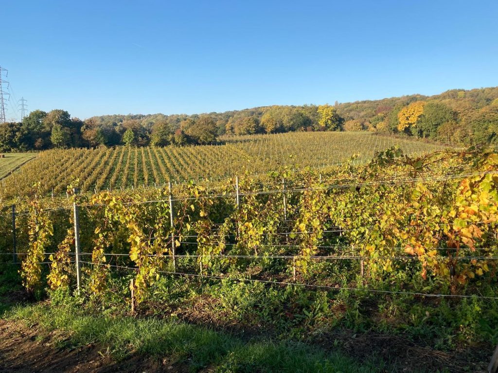 n coteaux montguichet chelles seine et marne