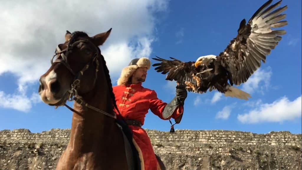 Aigles des remparts ©Stephanie Danis x