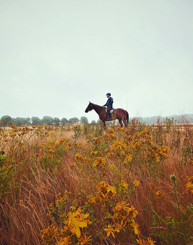 Edouard Kinziger equitation vallee morin seine et marne ©Brieman