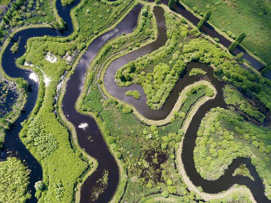 Marais de Larchant ©AdobeStock