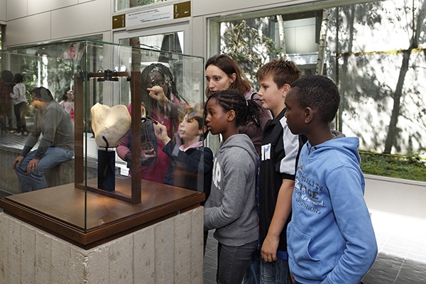 Musee de prehistoire visite famille seine et marne LuciaGuanaes