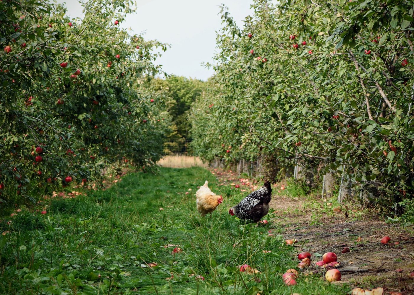 agriculture locale sud seine et marne dernier episode seine et marne vivre en grand novembre x