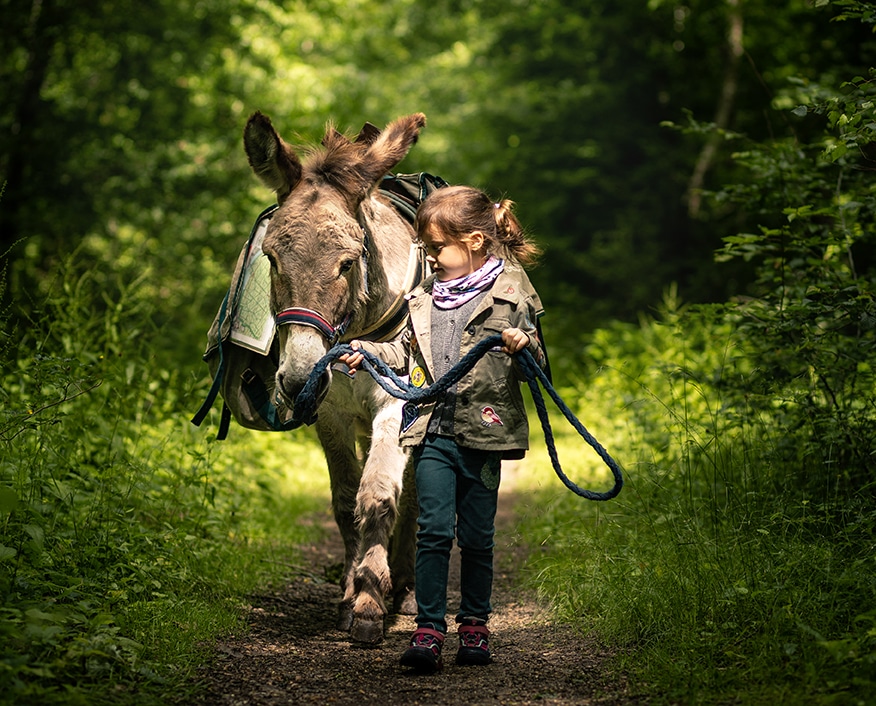 anerie bacotte seine et marne©aurelie amiot