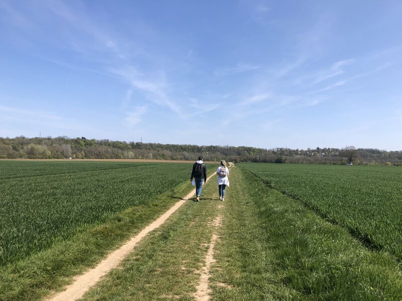 Découverte de la vallée de la Marne