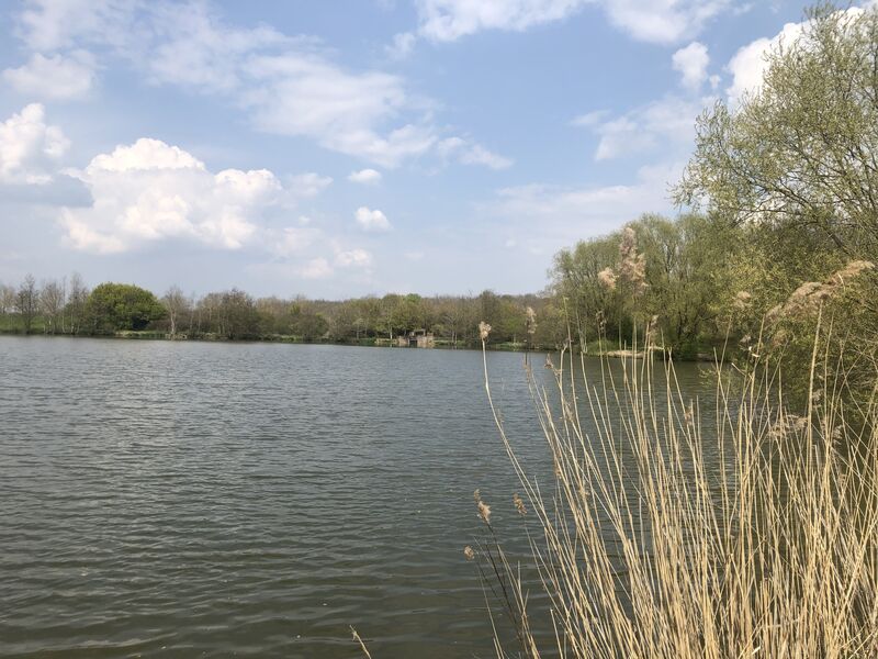 Sur les traces du moulin et des vignes