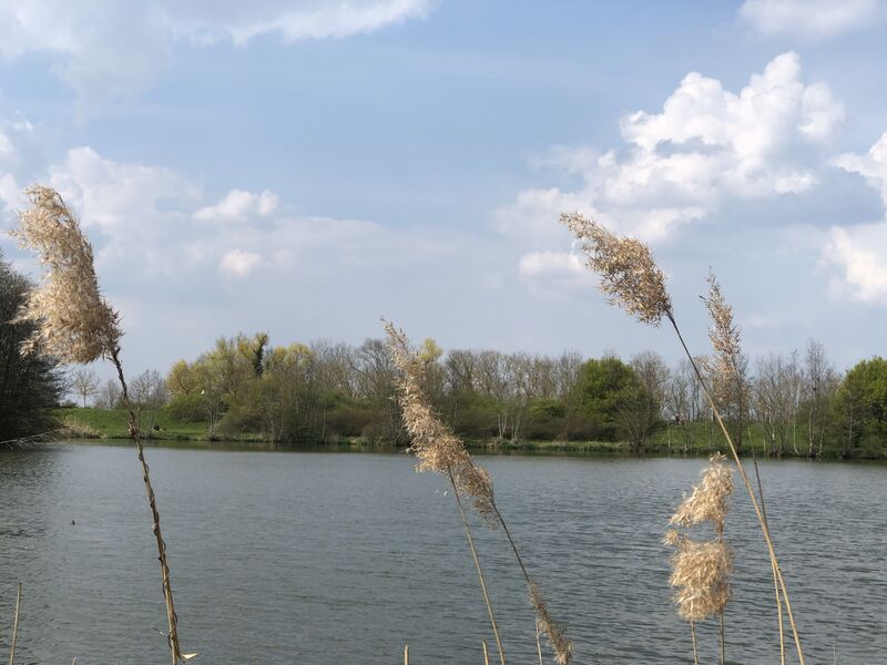 Sur les traces du moulin et des vignes