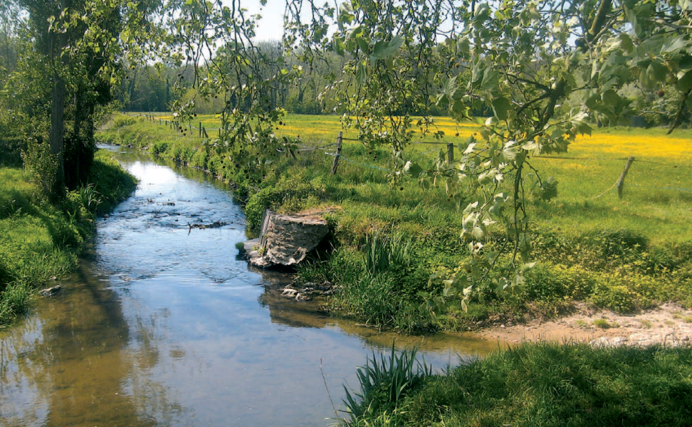 Moisenay : village de caractère