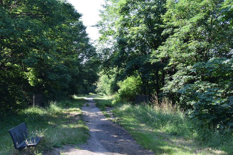 La Ferme de Forest