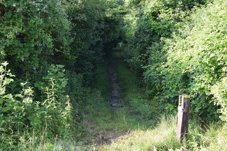 Les Gués sur l'Yerres