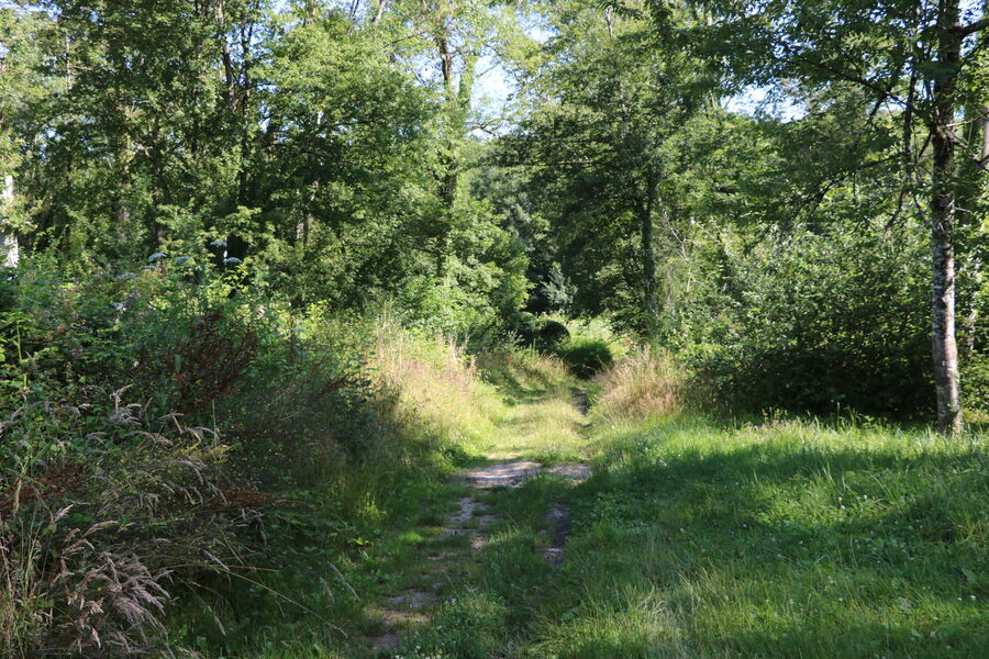 Balade de Saint-Méry à Blandy-les-Tours