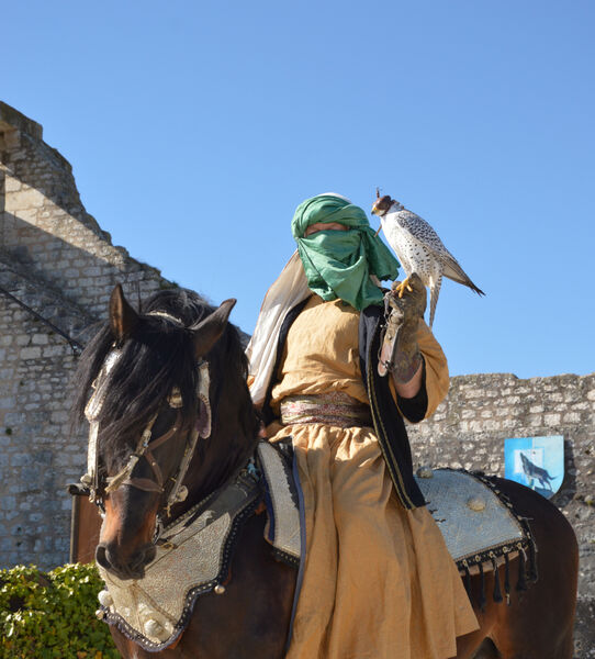 Les Aigles des Remparts