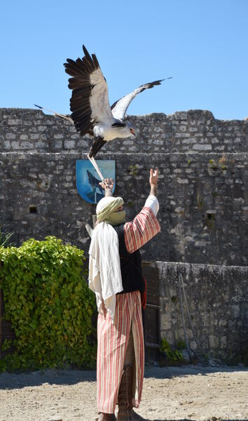 Les Aigles des Remparts