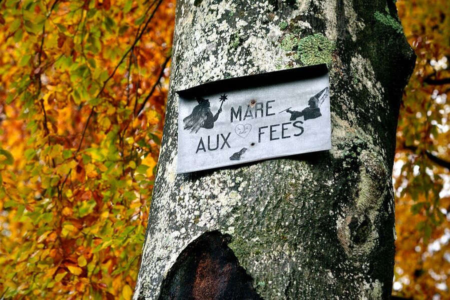 Promenade de La Mare aux Fées, la Malmontagne et la Grotte Béatrix