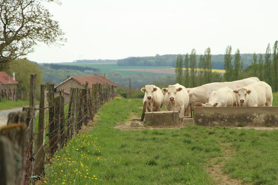 Ferme de Rouilly-le-Bas