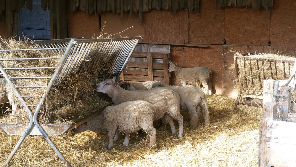 Ferme cueillette du Fourchet