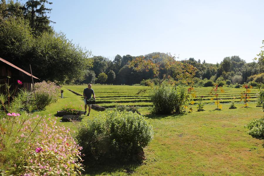 Parc naturel régional du Gâtinais français