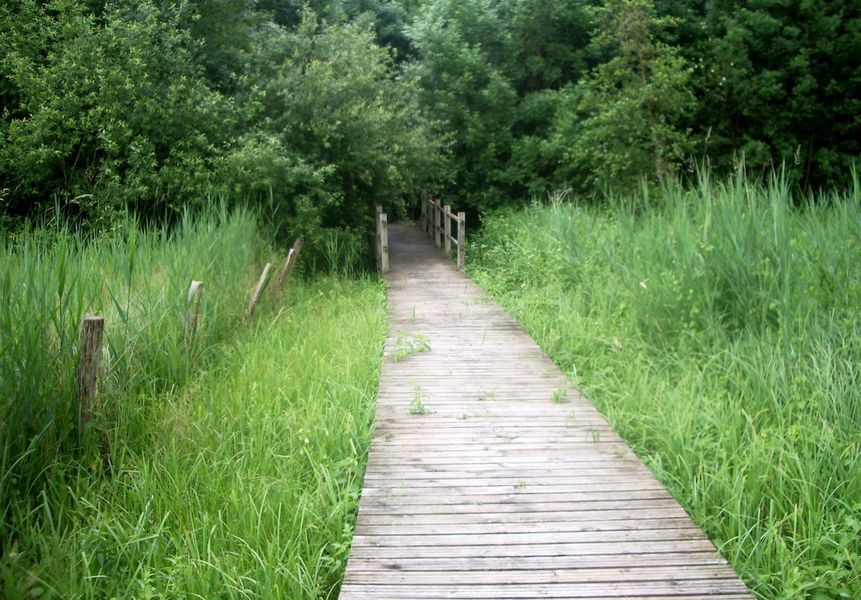 Espace Naturel Sensible de la Madeleine sur Loing