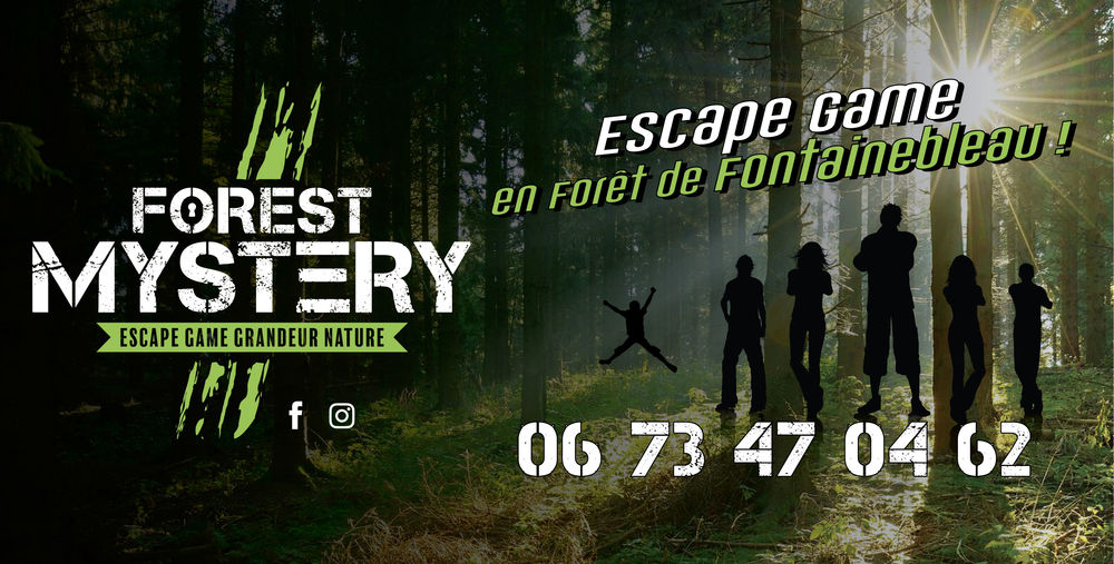 Escape game: Forest Mystery