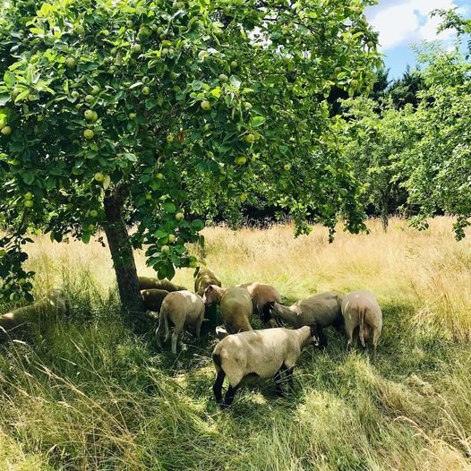 Aux délices de la Terre