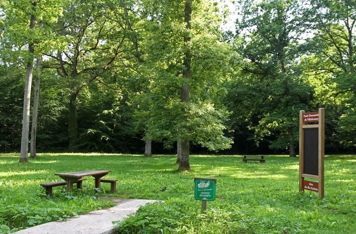 Forêt domaniale de Villefermoy