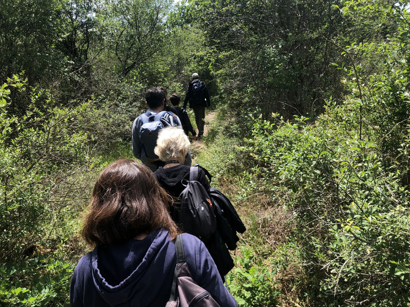 Visites guidées thématiques en forêt