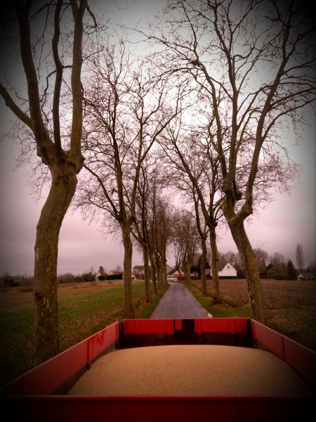 Le Moulin du Grand Champ