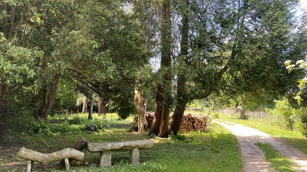 Parc de l'Abbaye de Faremoutiers