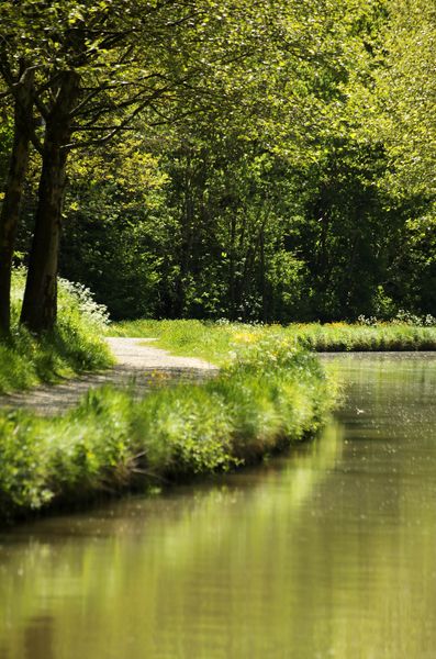 Balade le long de la Beuvronne et du canal de l'Ourcq - Gressy