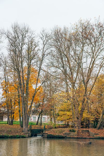 Balade le long de la Beuvronne et du canal de l'Ourcq - Gressy