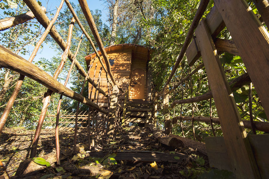 La cabane entremêlée