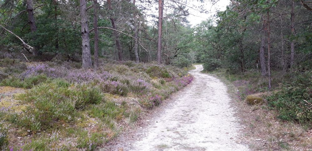 La grande boucle d’Achères