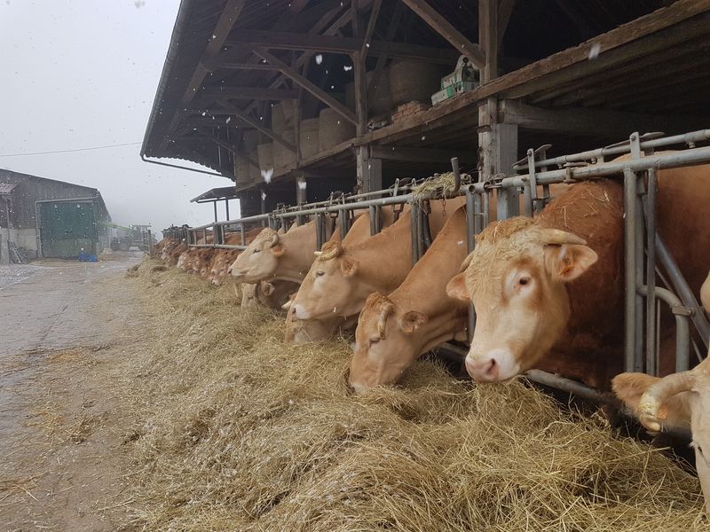 La Ferme de la Recette