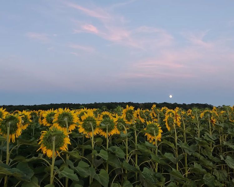 La Ferme de la Recette