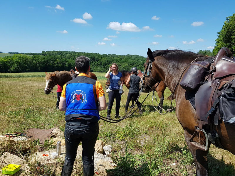 Randonnée équestre dans la Vallée du Petit Morin