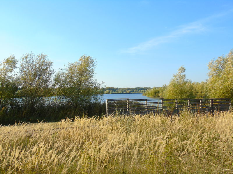 Réserve naturelle régionale du Grand-Voyeux