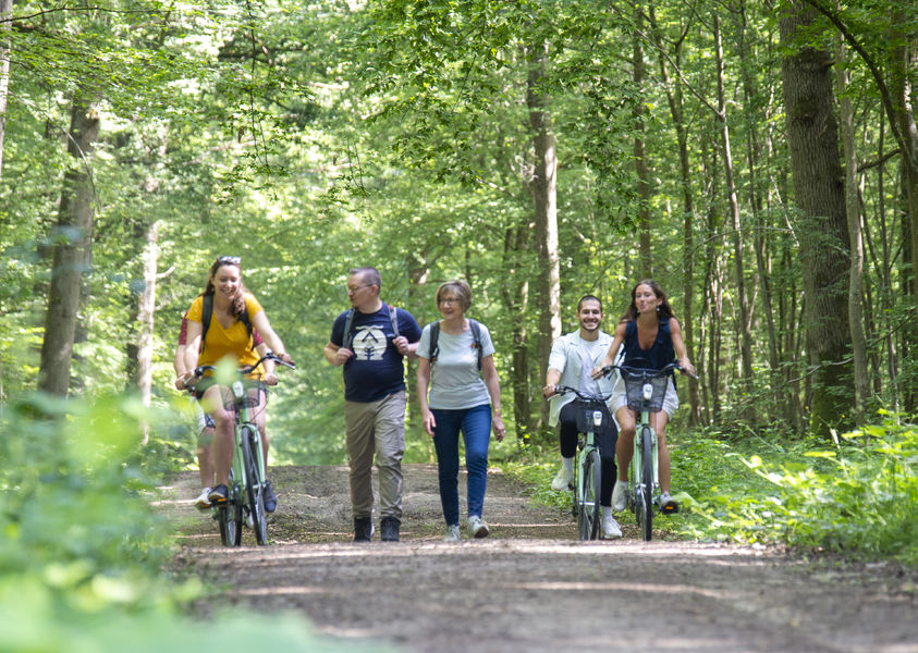 La forêt de Montceaux