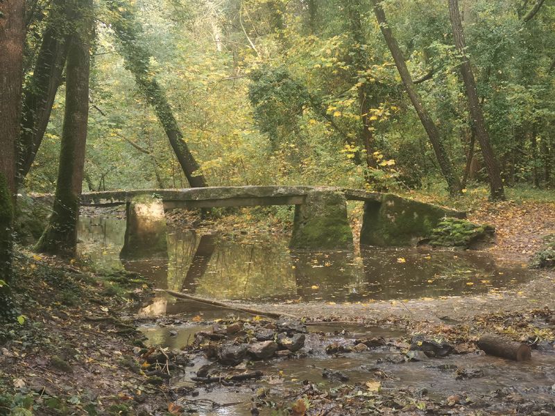 Pont du Violon