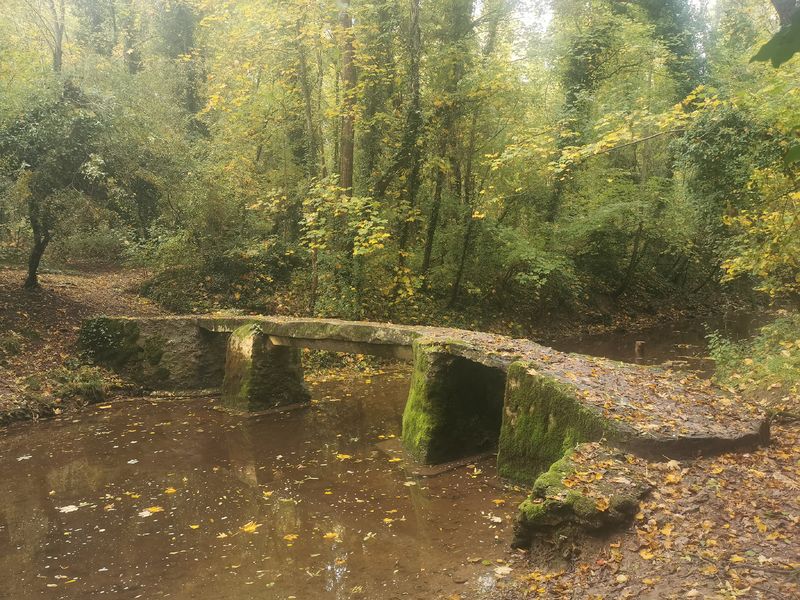 Pont du Violon