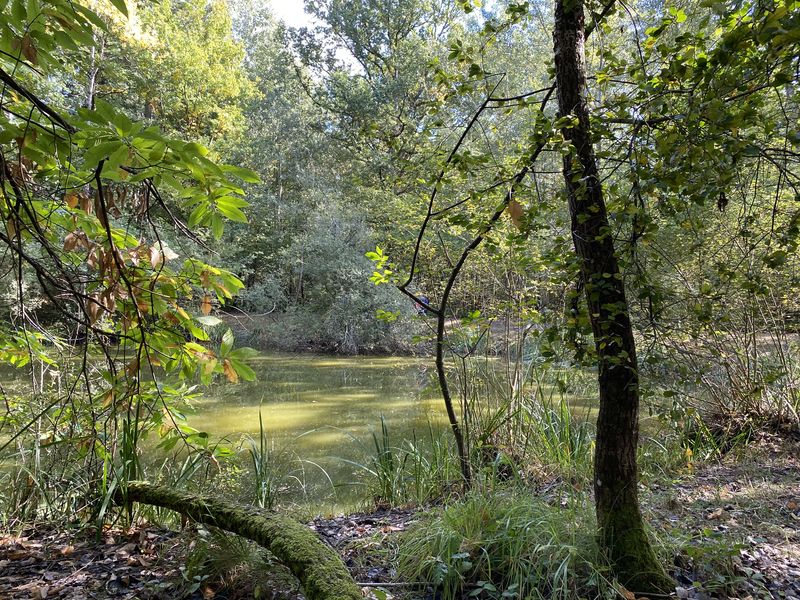 Sentier pédagogique ENS des Bordes Chalonges