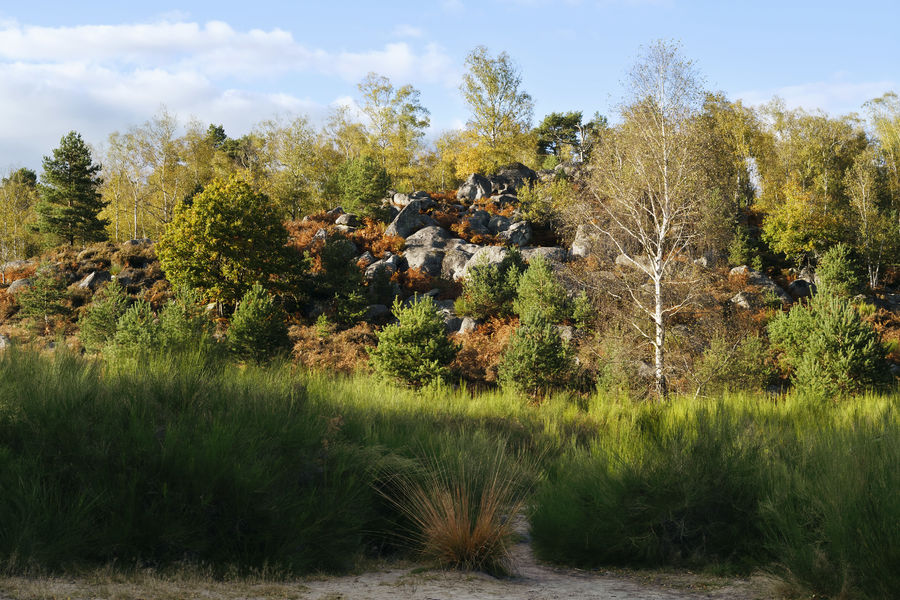 Sentier de l'érosion