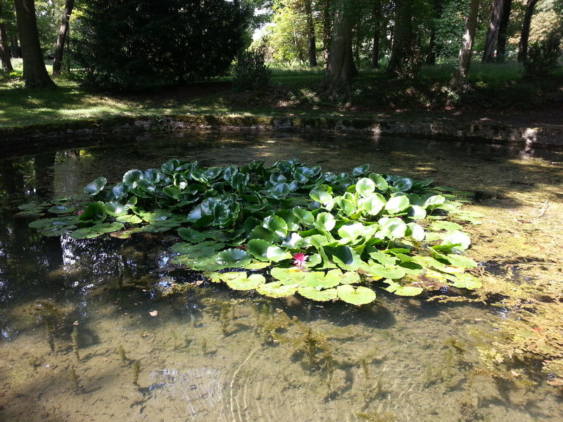 Parc Debreuil