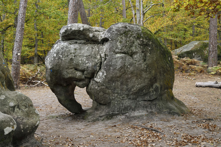 Sentier des peintres, l'Eléphant