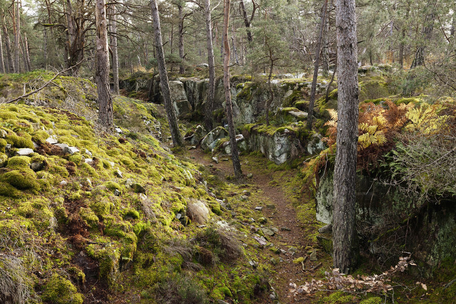 Sentier du Rocher Cassepot