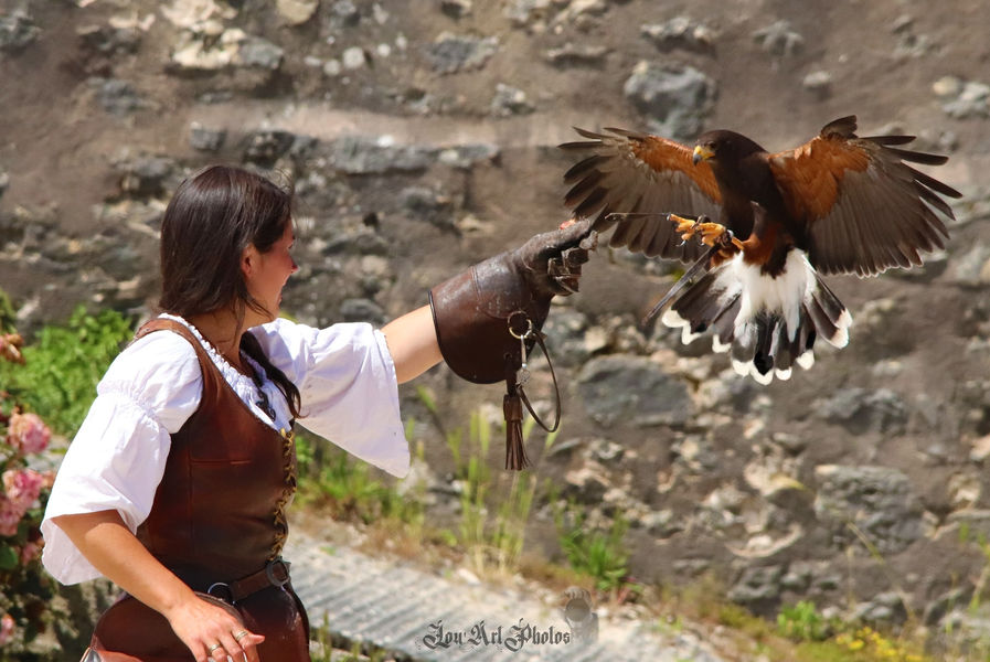 Les Aigles des Remparts