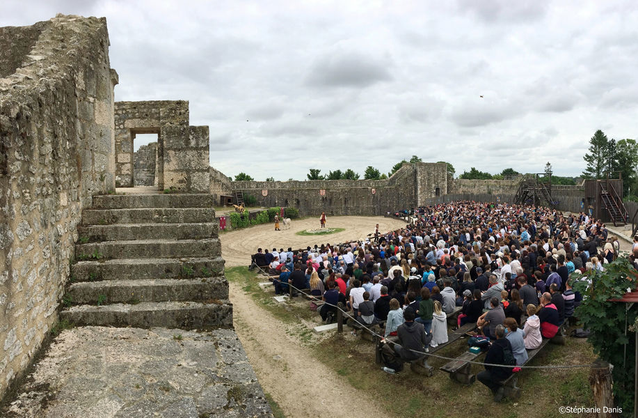 Les Aigles des Remparts