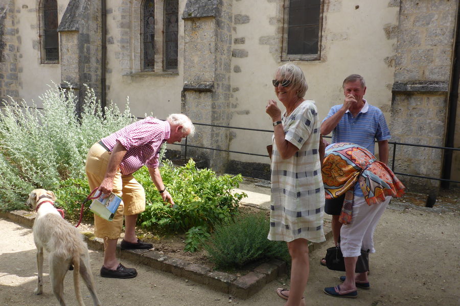 Cloître et jardin médiévaux de Donnemarie-Dontilly