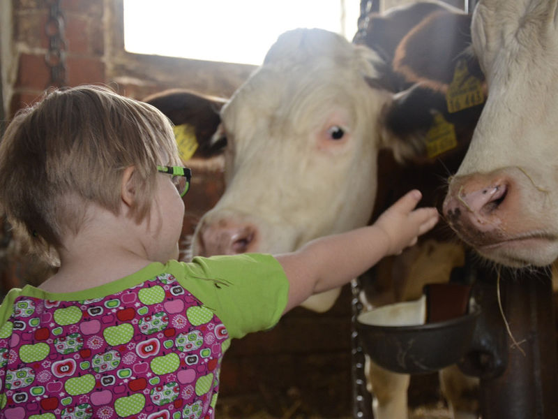 Ferme pédagogique de La Mercy