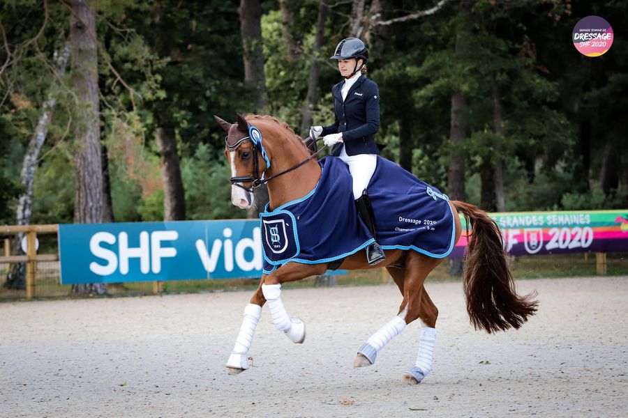 La Grande Semaine de Dressage