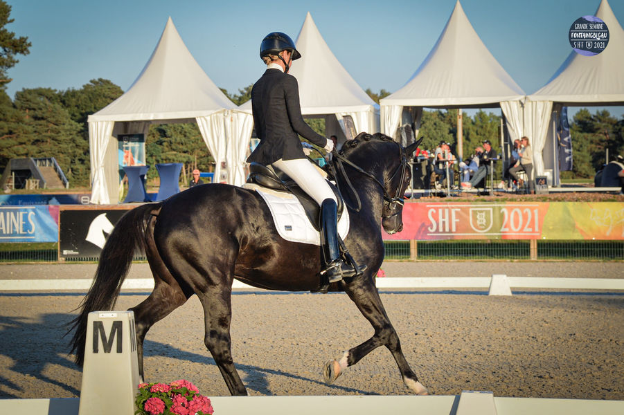 La Grande Semaine de Dressage