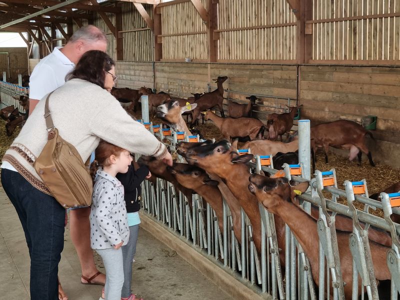 Visite guidée de la chèvrerie Moret